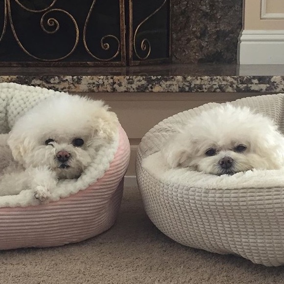 My Story... What Makes My World Go 'Round! - Picture 6 of 9